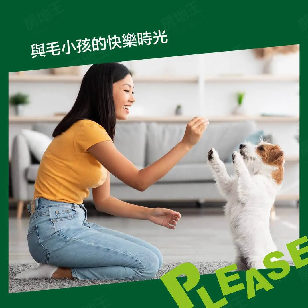 波麗市建案圖輯 3